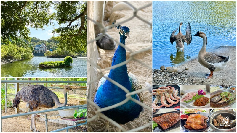 台灣山豬城 隱藏在山裡的台菜餐廳 園區裡超過10幾種動物免費參觀，猶如小型動物園！ @兔貝比的菲比尋嚐